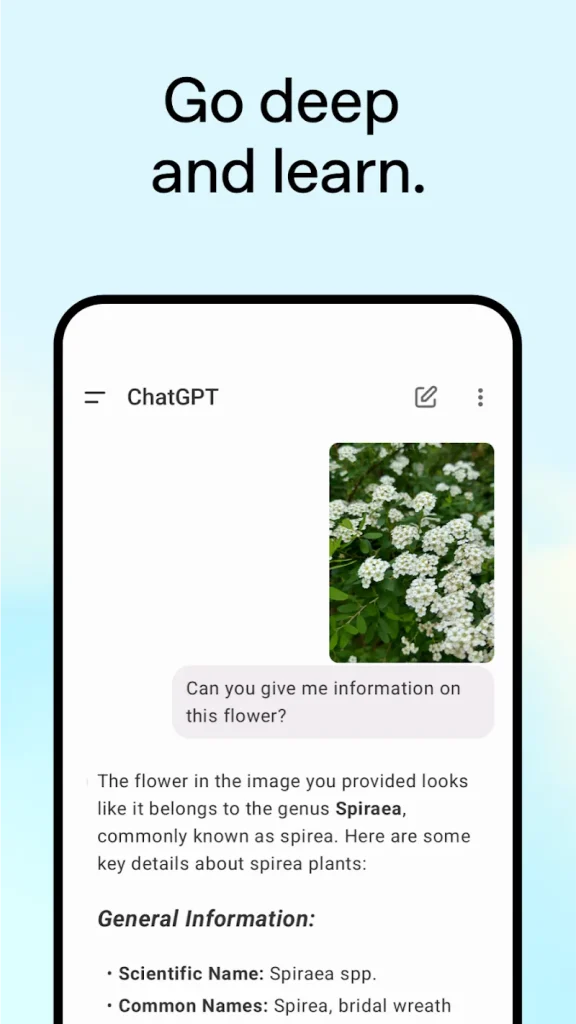 chat gpt mod apk 17